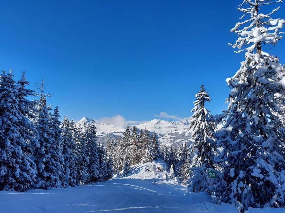 Appartamento Di Charme Praz-sur-Arly Esterno foto